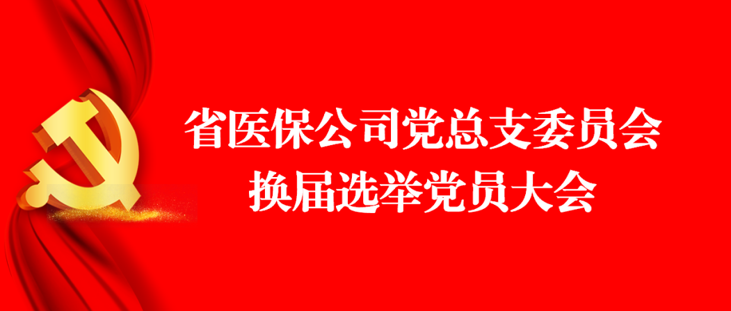 省醫(yī)保公司黨總支順利召開換屆選舉大會